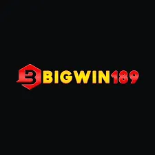 BIGWIN189 - Pertarungan Terbaik dengan Keahlian Dalam Game Fighting